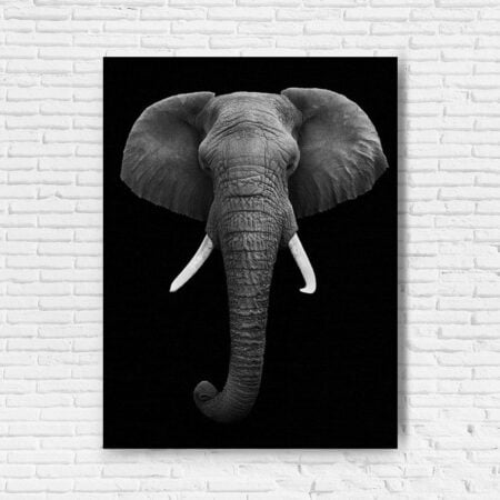 Canvas Elephant Head