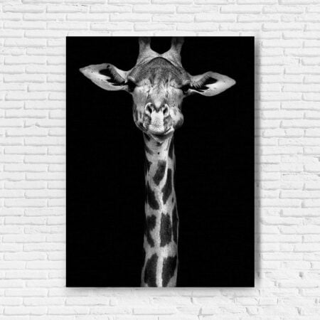 Canvas Giraffe