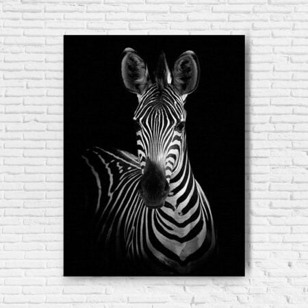 Canvas Zebra